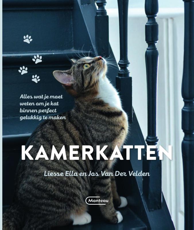 Kamerkatten