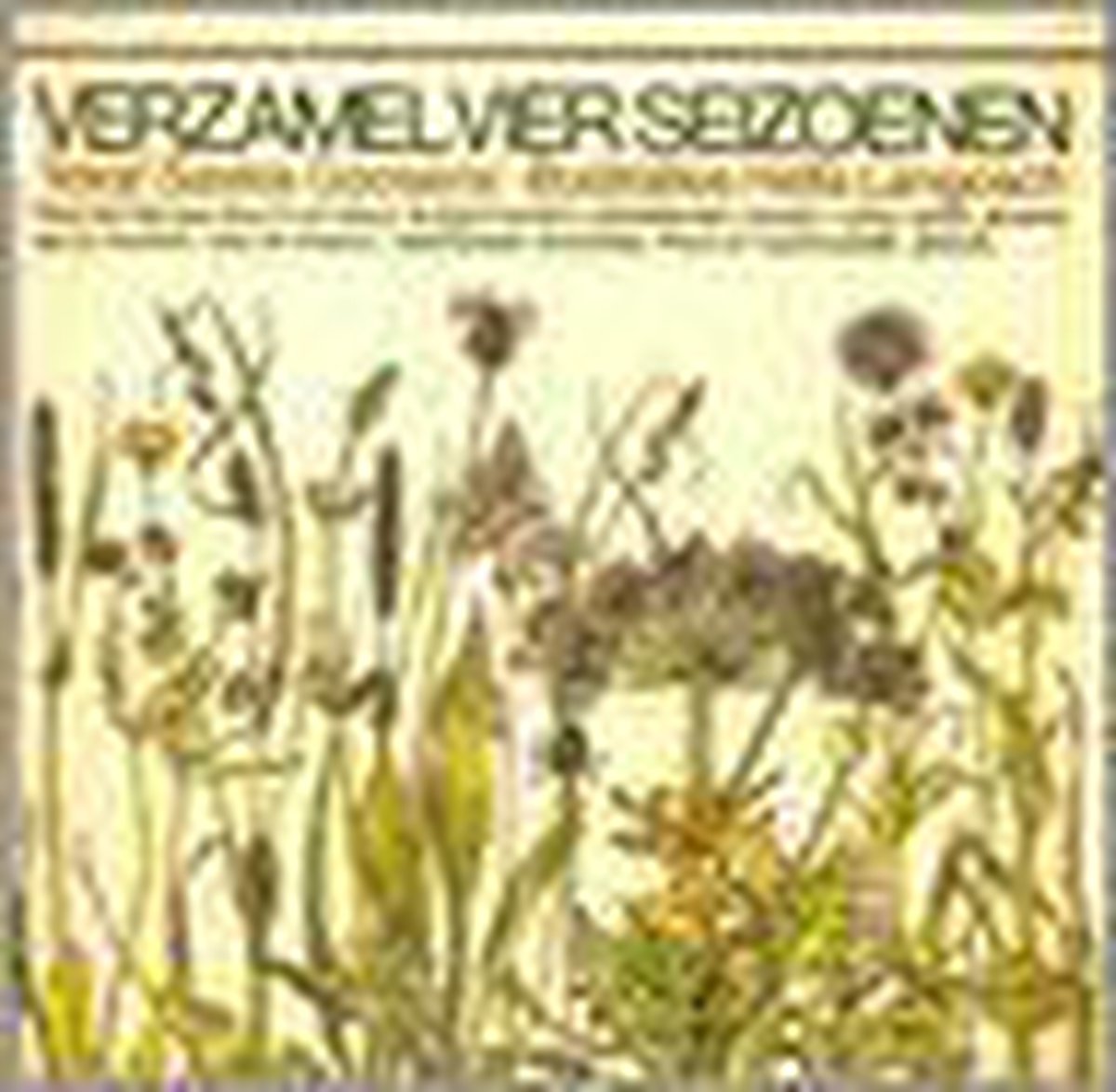 Verzamel vier seizoenen