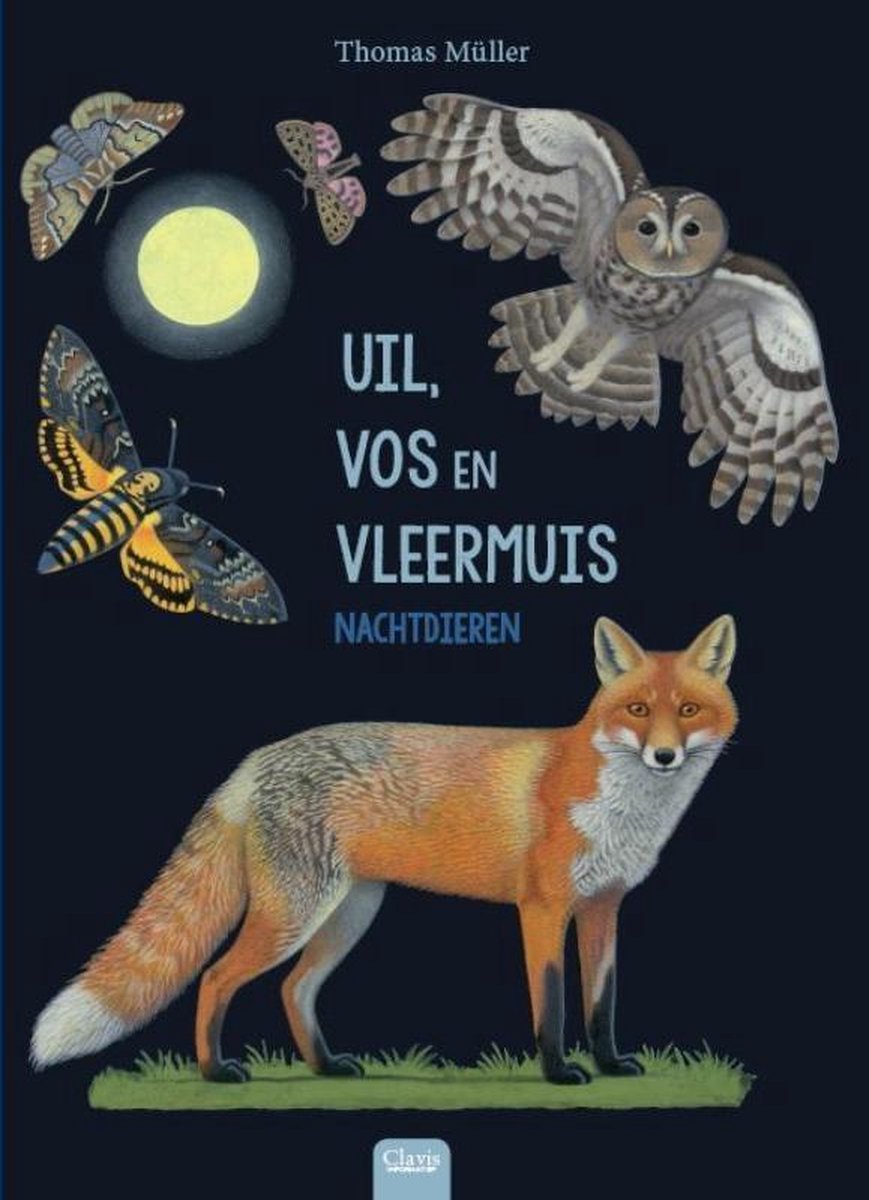 Uil, vos en vleermuis