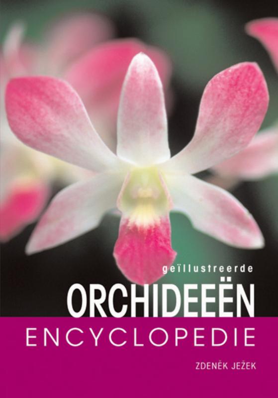 Geillustreerde orchideeen encyclopedie / Encyclopedie