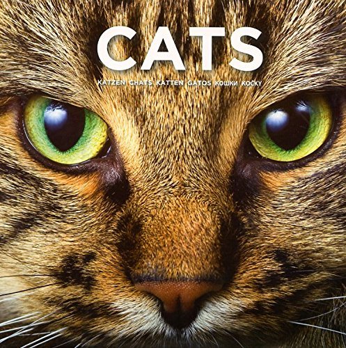 Cat Coffee Table Book