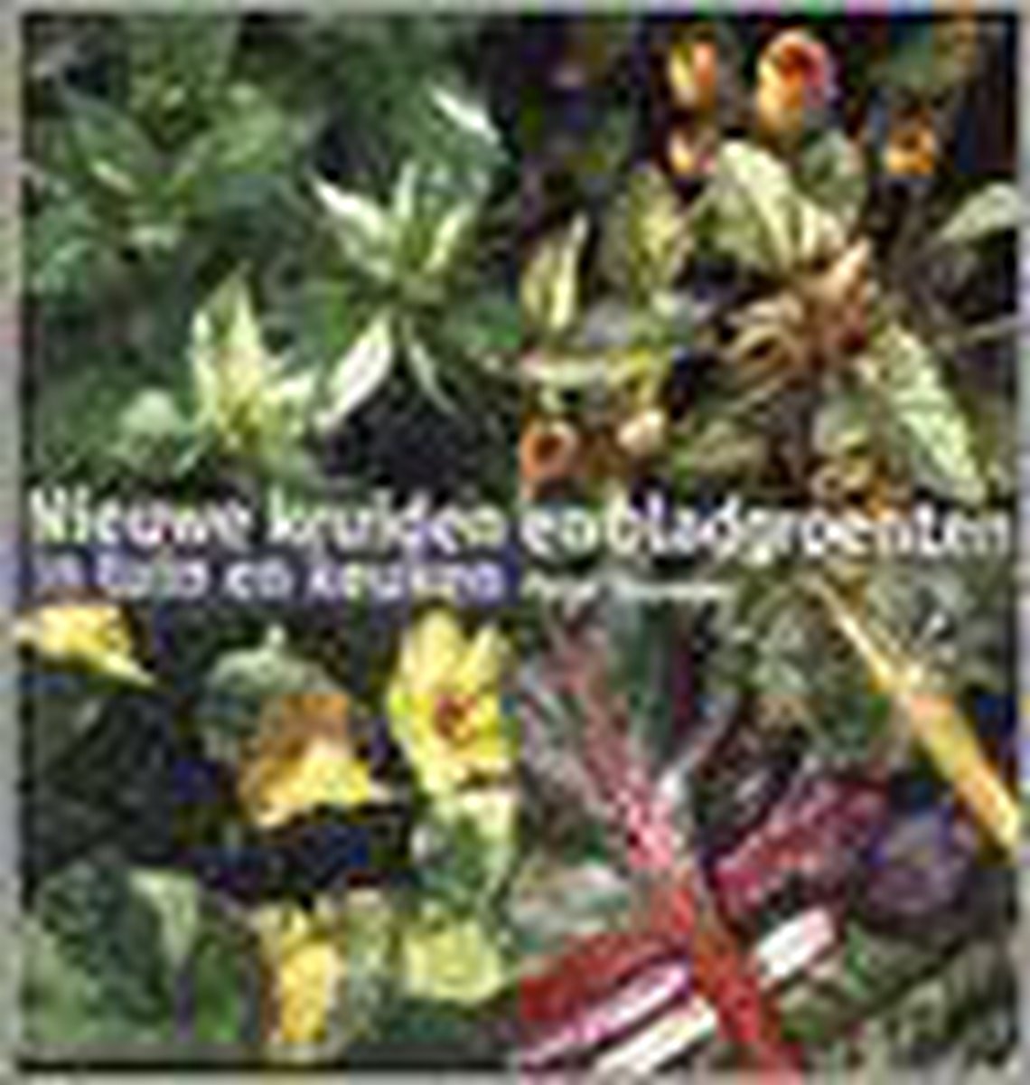 Nieuwe Kruiden En Bladgroenten In Tuin E