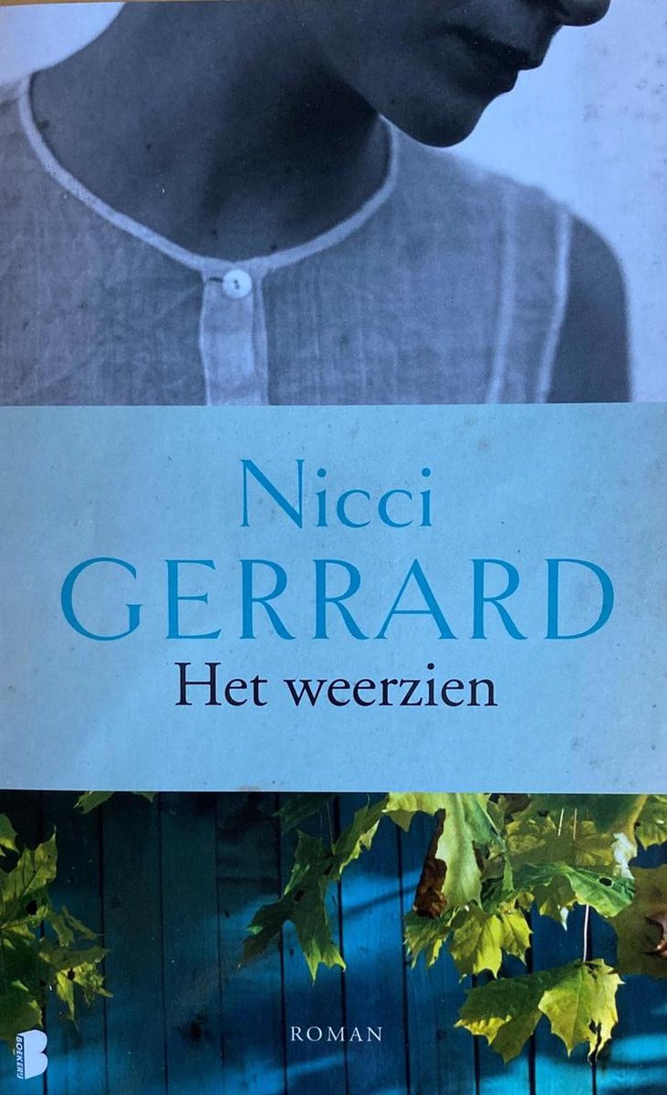 Het weerzien