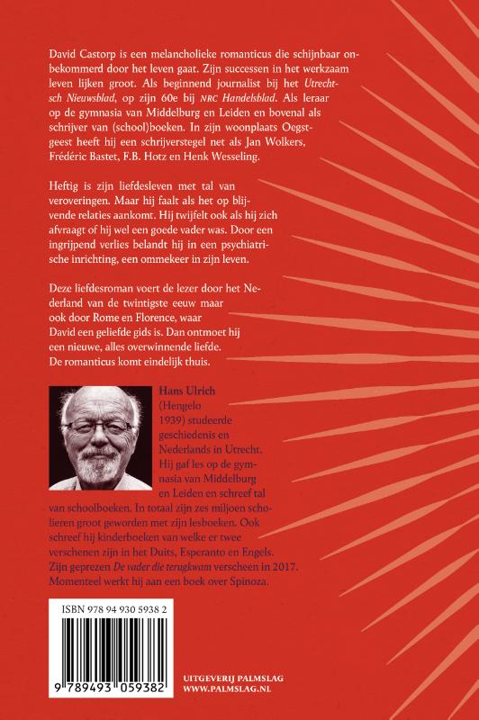 Het woelige leven van David Castorp achterkant