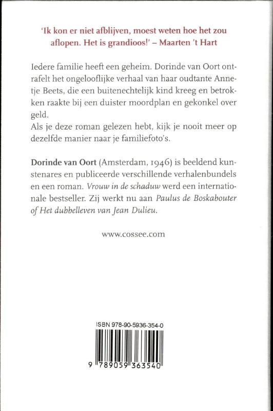 Vrouw in de schaduw achterkant