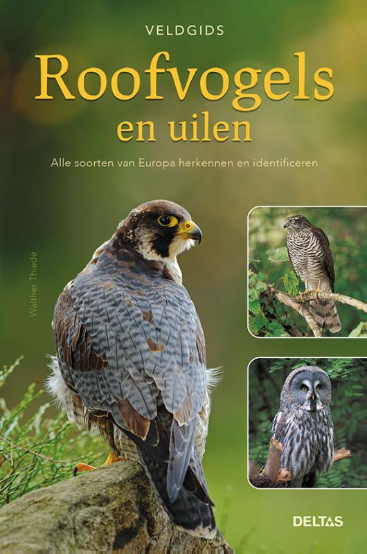 Roofvogels en uilen / Veldgids