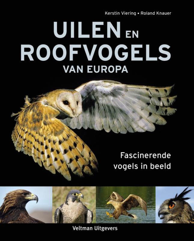 Uilen en roofvogels van Europa