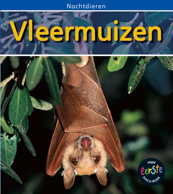 Vleermuizen / Nachtdieren