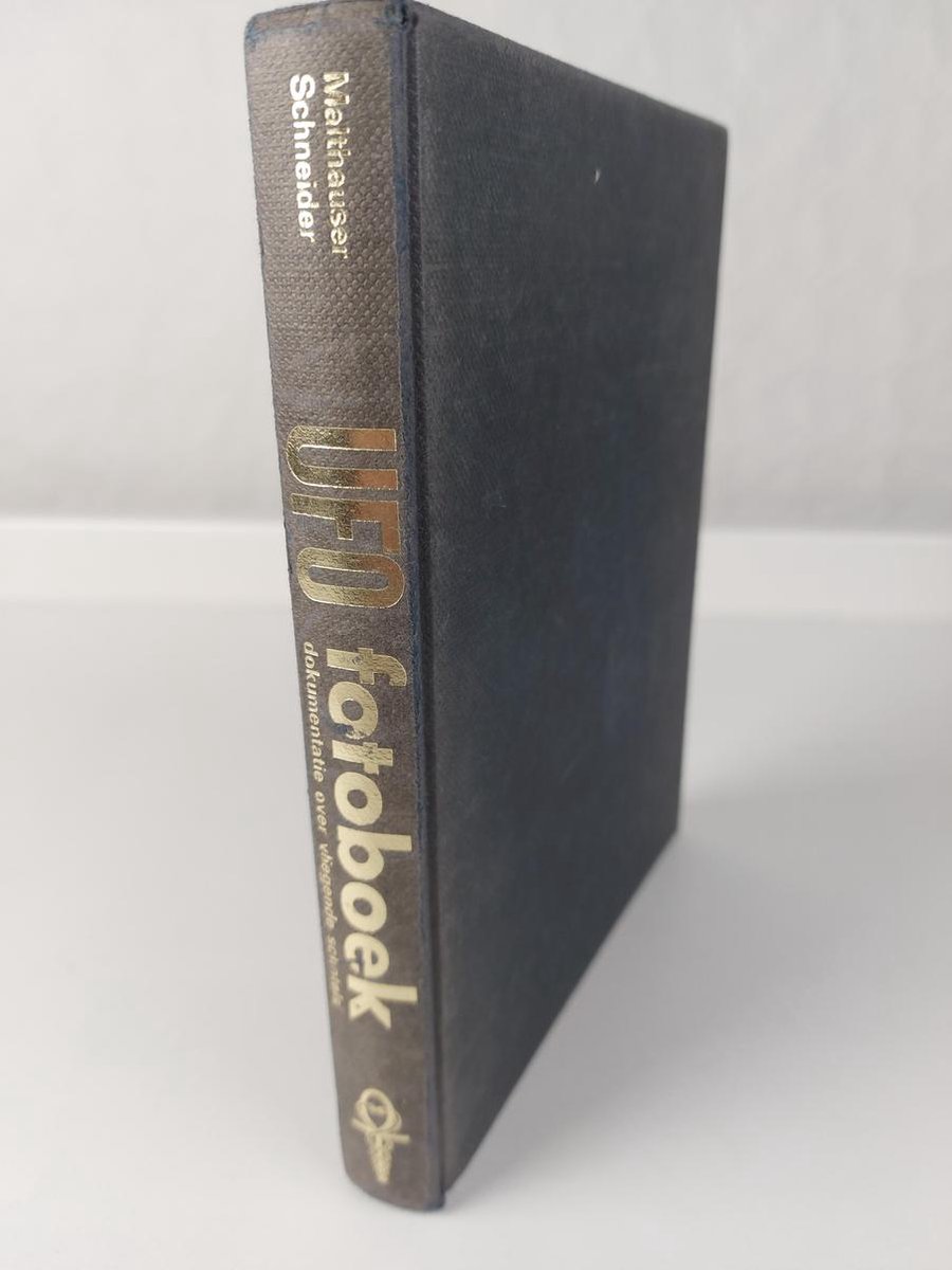 In de schaduw van de dennenboom