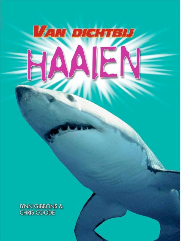 Haaien / Van dichtbij