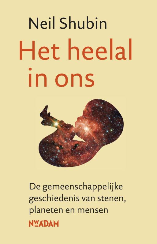 Het heelal in ons