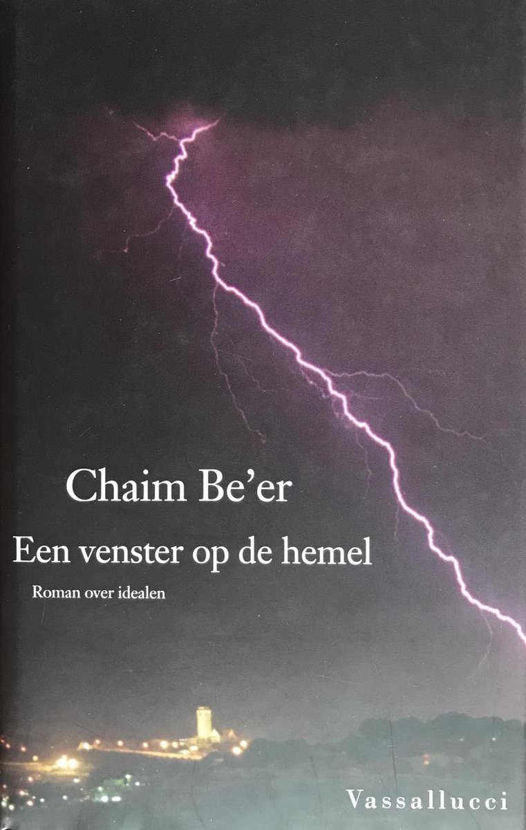 Een venster op de hemel. Roman over idealen