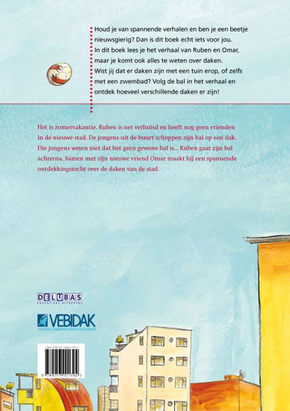 Het dak op achterkant