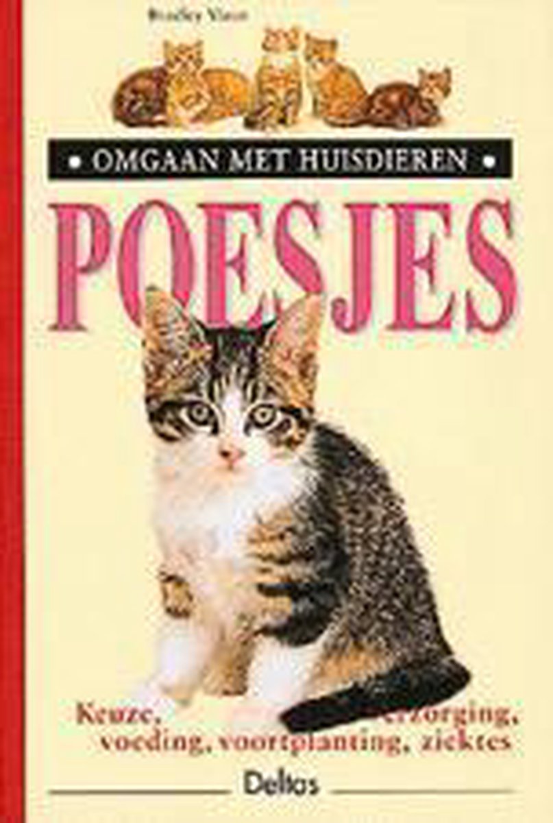 Poesjes / Omgaan met huisdieren