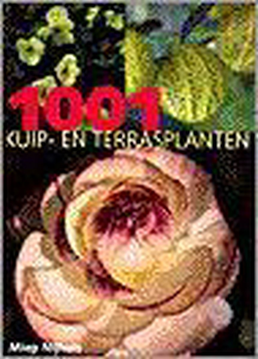 1001 Kuip- En Terrasplanten