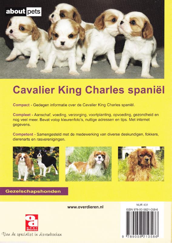 Cavalier King Charles Spaniel / Over Dieren / 60 achterkant