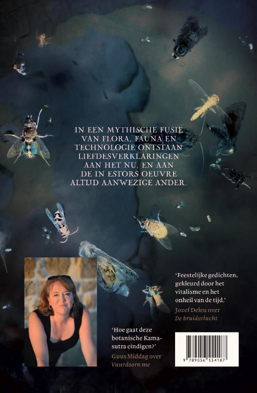 De bruidsvlucht achterkant