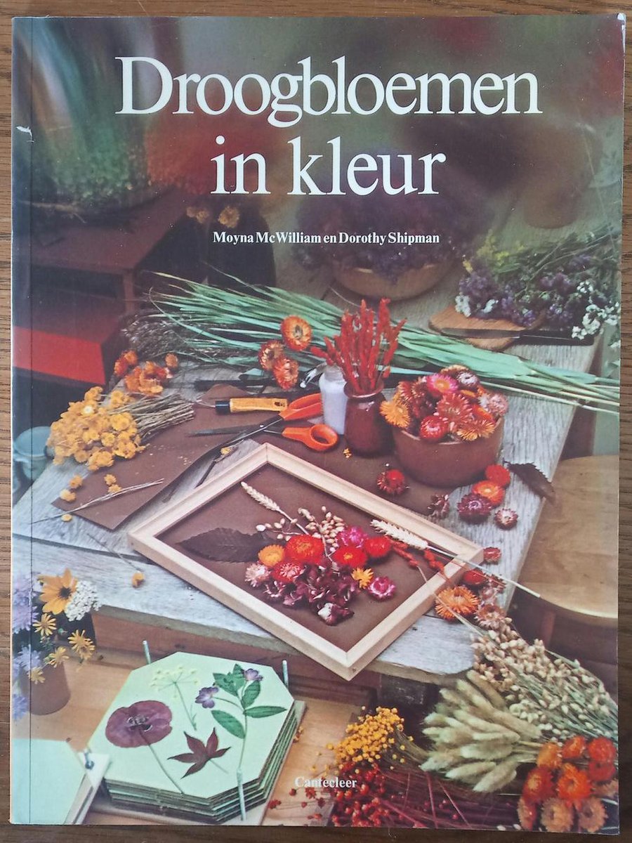 Droogbloemen in kleur