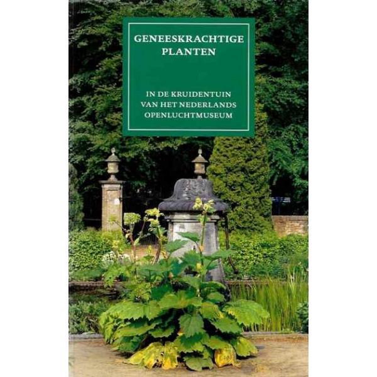 Geneeskrachtige planten