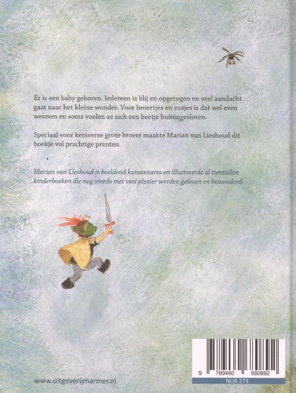 Grote broer achterkant