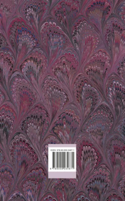 Stad van maskers / Stravaganza / 1 achterkant