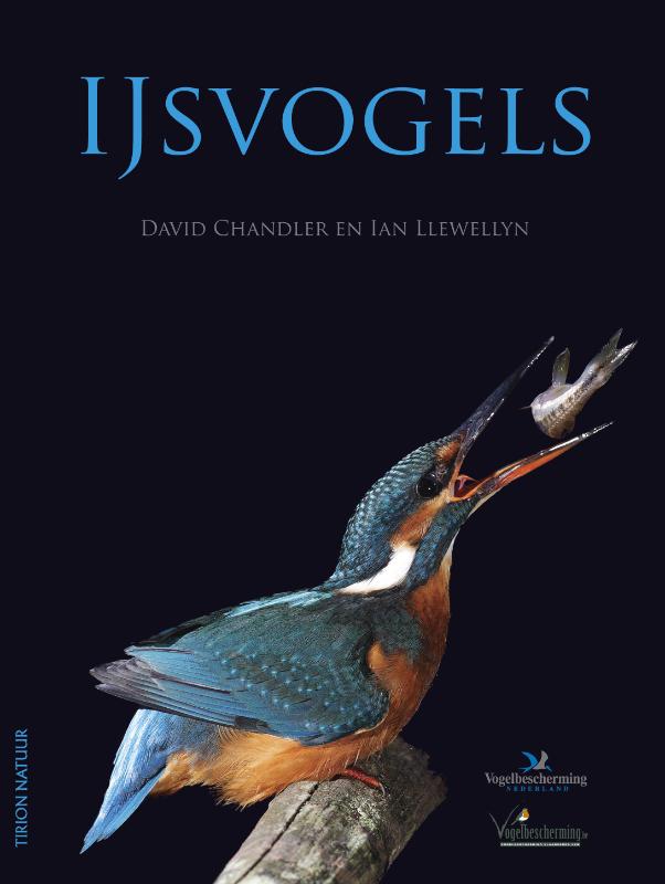 Ijsvogels