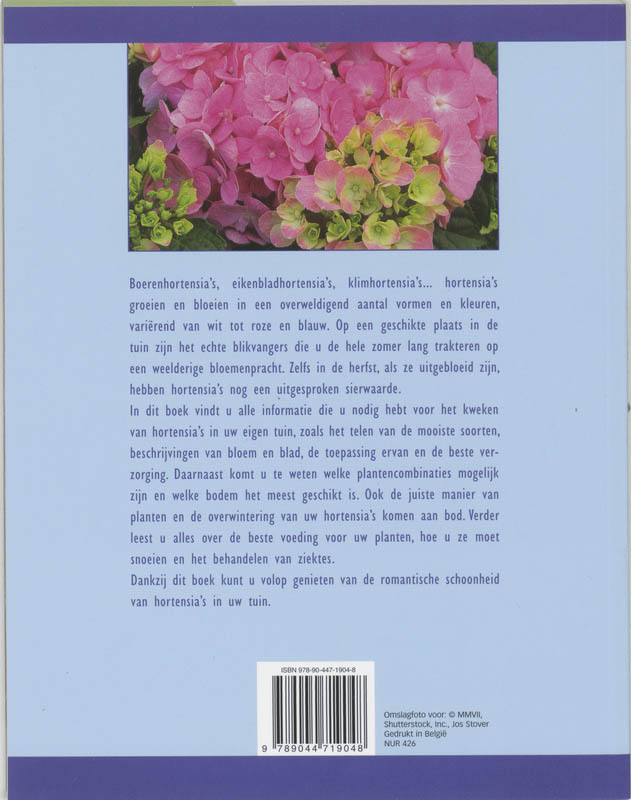 Weelderige HortensiaŽs achterkant