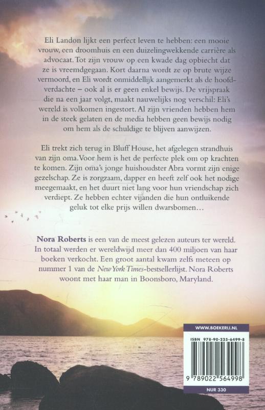 Het strandhuis achterkant