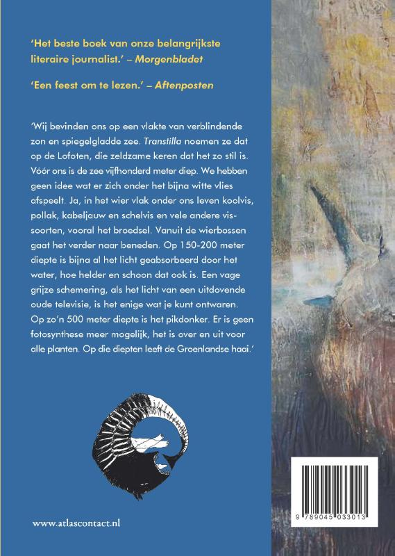 Haaienkoorts achterkant