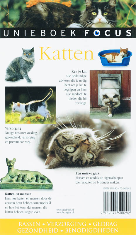 Focus / Katten achterkant