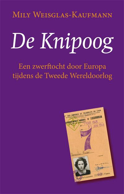 De knipoog