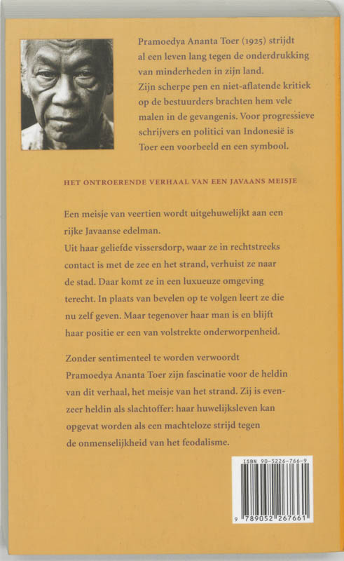 Meisje aan het strand achterkant