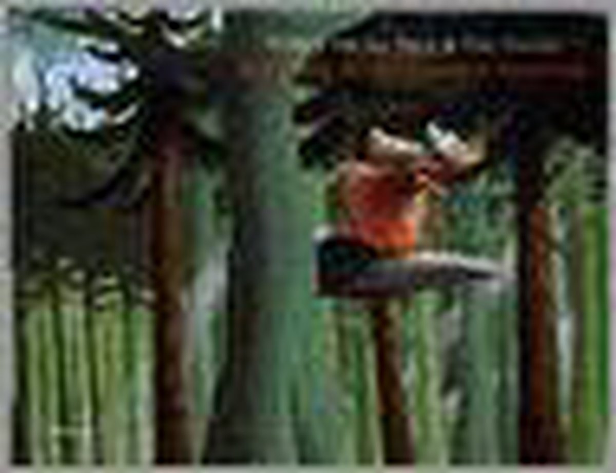 Ruby En De Verdwenen Tovertak