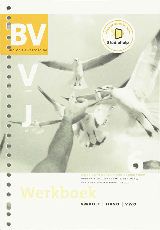 BVvJ 6 Vmbo-t/h/v Werkboek