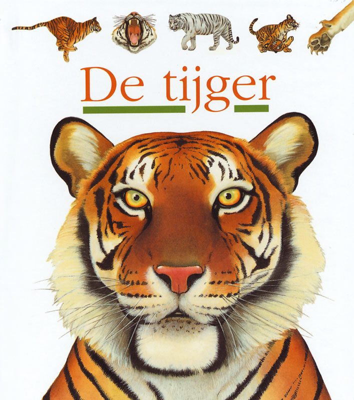 Tijgers / Mijn eerste ontdekkingen