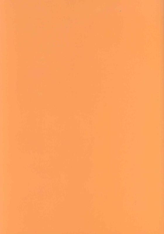 Praktische insulinetherapie achterkant