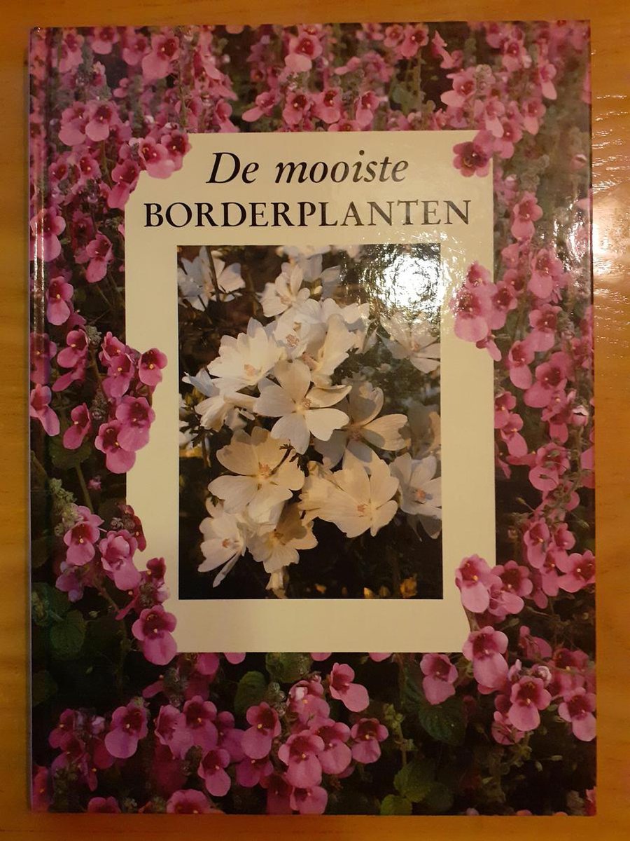 Mooiste borderplanten