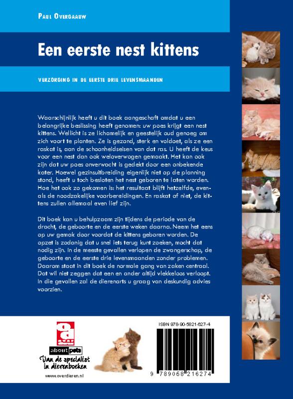 Een eerste nest kittens achterkant