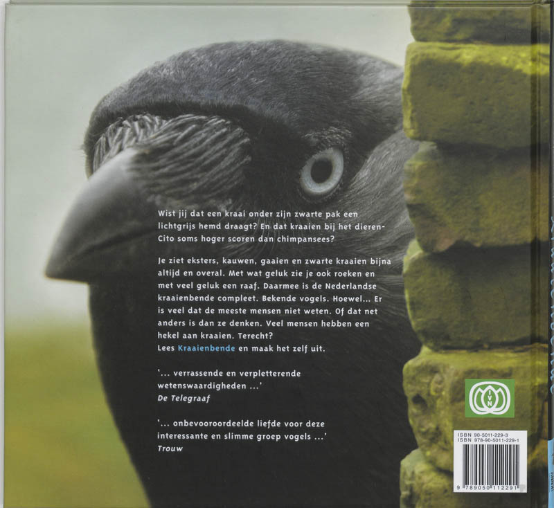 Kraaienbende achterkant