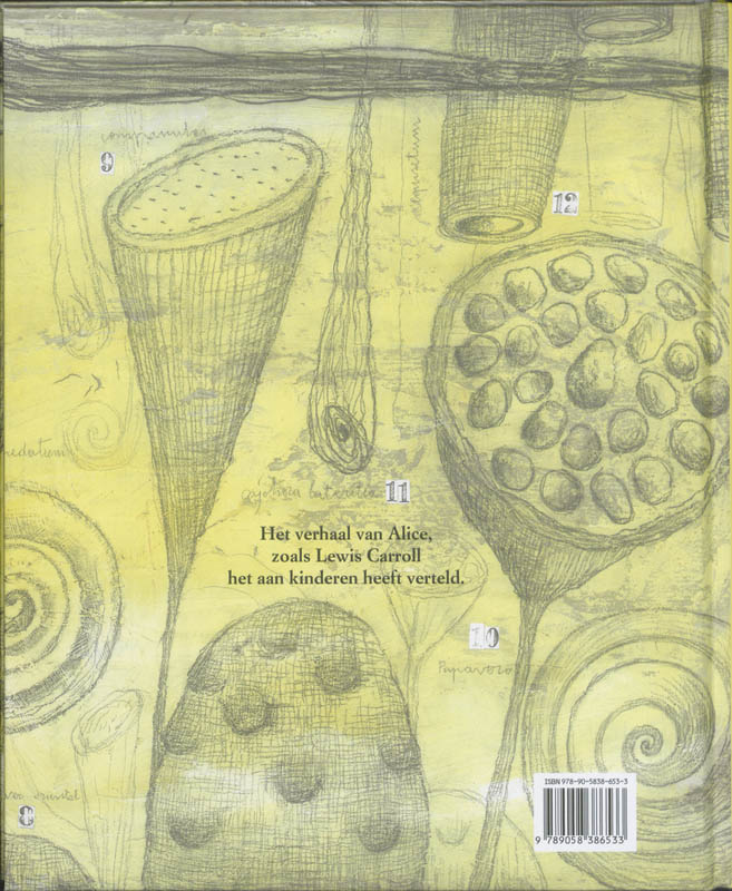 De wonderlijke droom van Alice achterkant