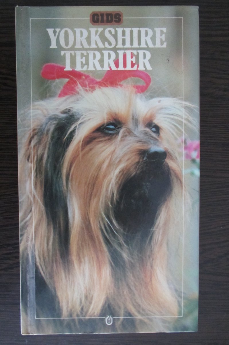 Yorkshire terrier / Gids