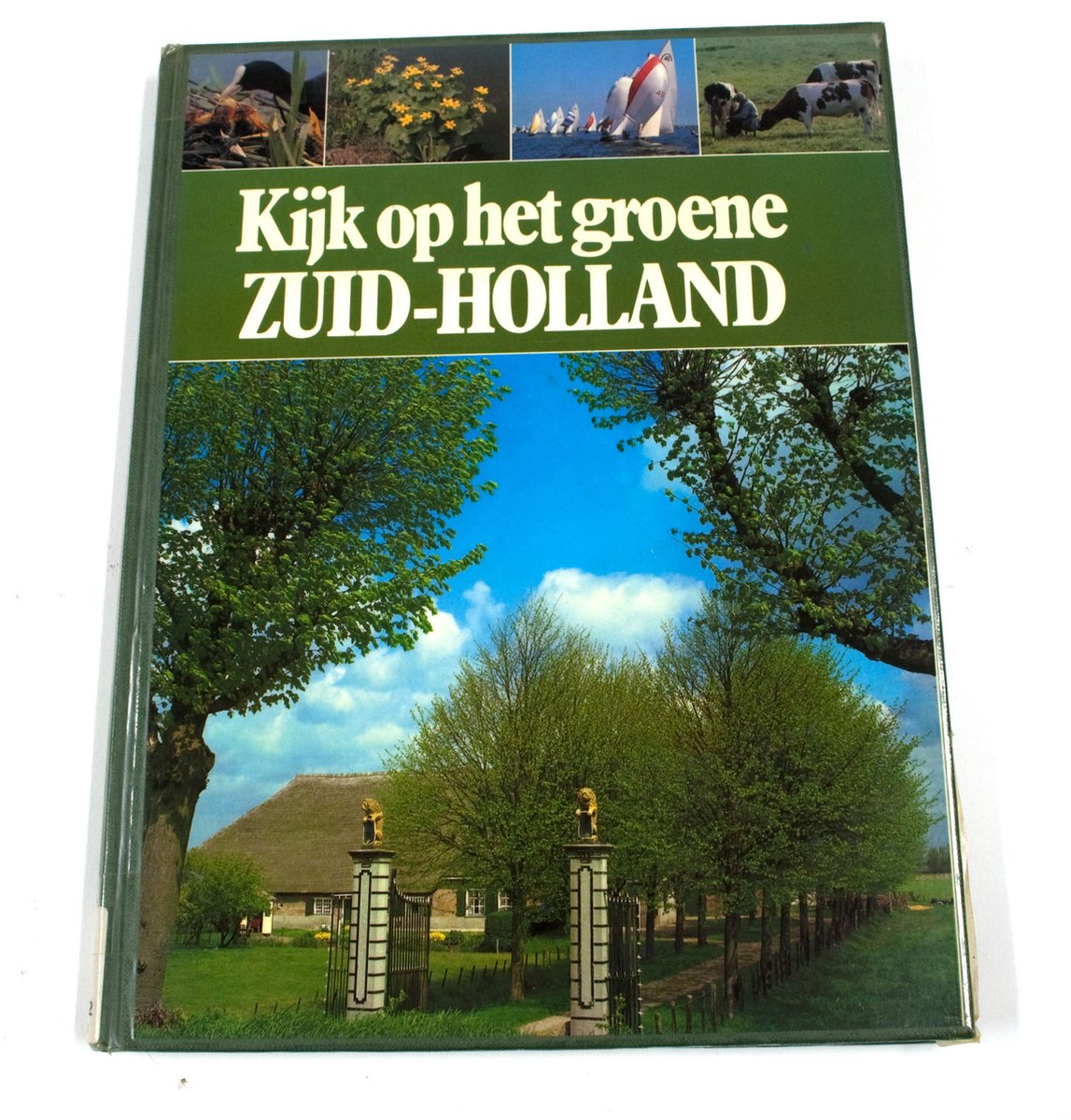 Kijk op het groene Zuid-Holland