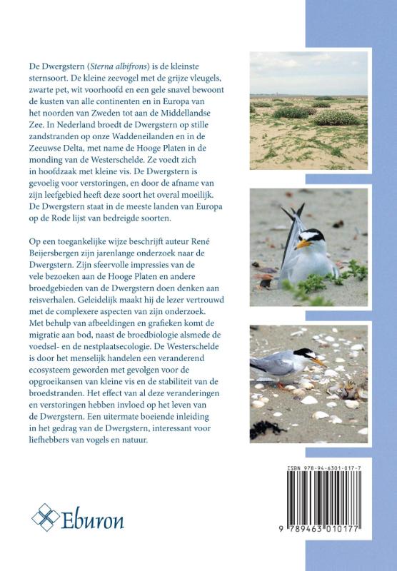 Reizen langs de waterkant achterkant