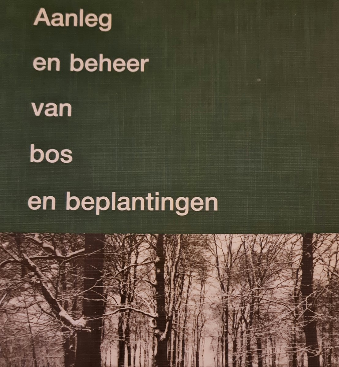 Aanleg en beheer van bos en beplantingen