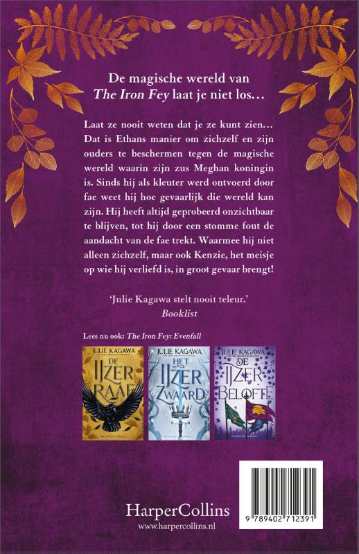 De verloren prins / The Iron Fey / 5 achterkant