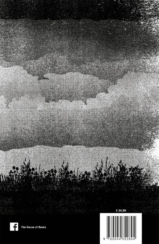 De buitenstaander / Holly Gibney / 1 achterkant