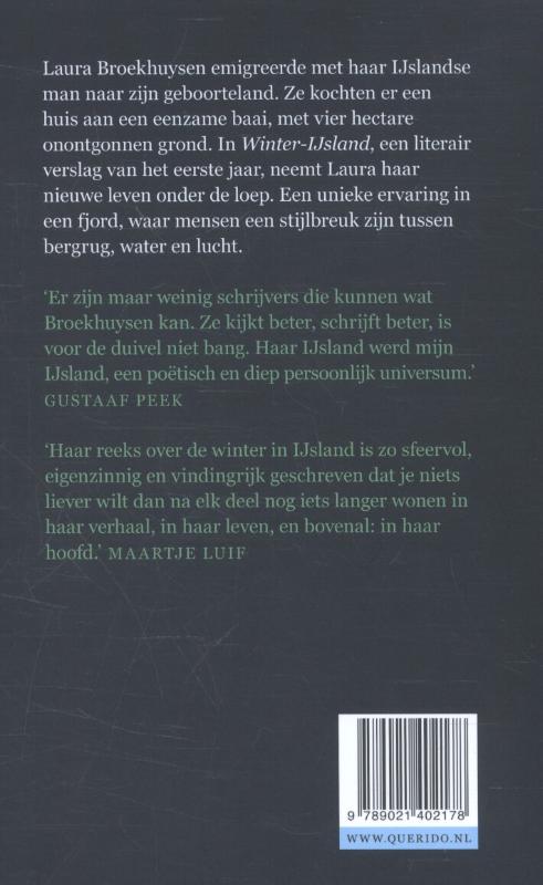 Winter-IJsland achterkant