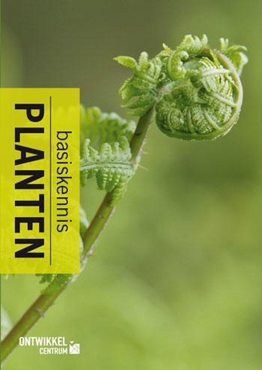 Planten basiskennis