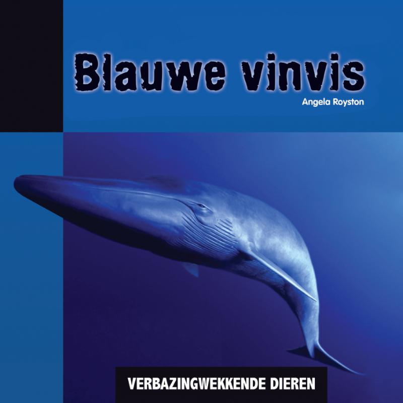 Verbazingwekkende dieren - Blauwe vinvis
