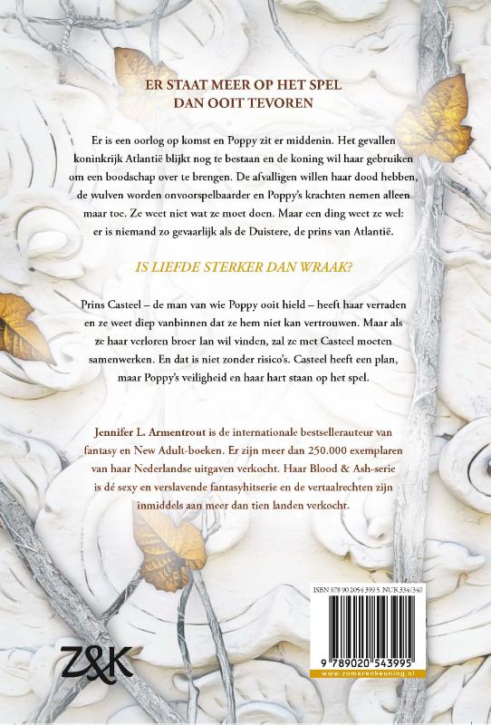 Blood and Ash 2 - Rijk van vlees en vuur achterkant